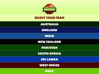 Touch Cricket screenshot, image №1634249 - RAWG