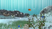 Aquarium Sandbox screenshot, image №1722346 - RAWG