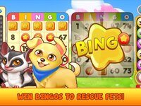 Bingo Pet Rescue screenshot, image №3077496 - RAWG