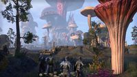 The Elder Scrolls Online: Morrowind screenshot, image №241400 - RAWG