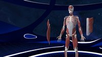 Human Anatomy VR screenshot, image №2150006 - RAWG