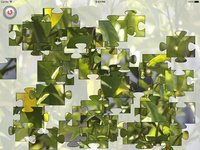 Puzzle!!!! screenshot, image №1331248 - RAWG
