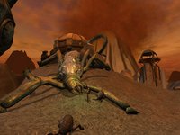 Star Wars Galaxies: Trials of Obi-Wan screenshot, image №437364 - RAWG