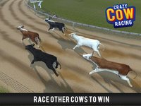 Cow Racing Free Game screenshot, image №1780003 - RAWG