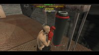Art of Boxing screenshot, image №2339411 - RAWG