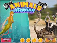 Ostrich Racing 3D Simulator screenshot, image №1944839 - RAWG