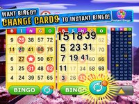 Bingo Craze! screenshot, image №1738162 - RAWG