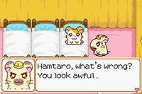 Hamtaro: Ham-Ham Heartbreak screenshot, image №732050 - RAWG