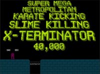 SUPER MEGA METROPOLITAN KARATE KICKING SLIME KILLING X-TERMINATOR 40,000 screenshot, image №1141362 - RAWG
