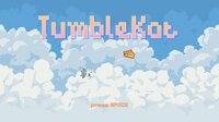 TumbleKat screenshot, image №3062931 - RAWG