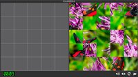 Puzzle Insects screenshot, image №3371575 - RAWG