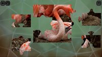 Puzzles for smart: Birds screenshot, image №1674559 - RAWG
