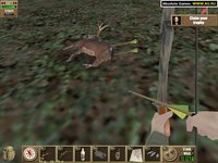 Cabela's GrandSlam Hunting: North American 29 screenshot, image №298331 - RAWG