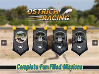Ostrich Racing 3D Simulator screenshot, image №1944840 - RAWG