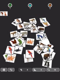 OLLECT - Pair Matching Game screenshot, image №2417087 - RAWG