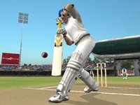 Brian Lara International Cricket 2005 screenshot, image №410451 - RAWG