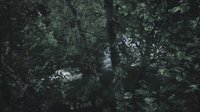 Explorable Forest Valley screenshot, image №1027847 - RAWG