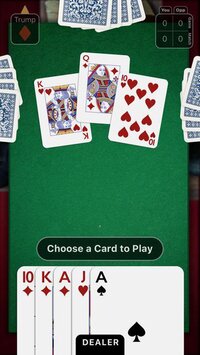 Euchre Night screenshot, image №3064391 - RAWG