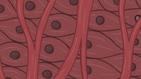 Duophage screenshot, image №3333158 - RAWG