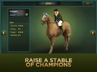 Jumping Horses Champions 2 screenshot, image №974326 - RAWG