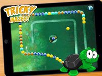 Aqua Pearl Maze - Algae Covered Bubble Popping Fun! screenshot, image №1980935 - RAWG