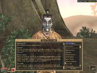 The Elder Scrolls III: Morrowind screenshot, image №289955 - RAWG
