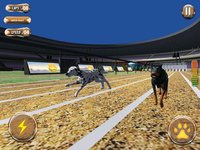 Greyhound Racing Tournament 2 screenshot, image №1989903 - RAWG
