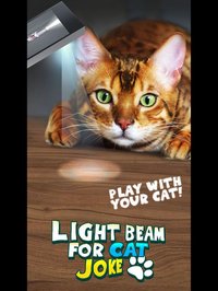Light Beam For Cat Joke screenshot, image №903149 - RAWG
