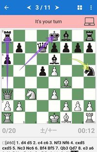 Chess Tactics in Slav Defense screenshot, image №1503827 - RAWG