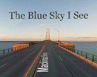 The Blue Sky I See screenshot, image №2329540 - RAWG