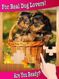 Magic Puzzles - Pet Jigsaw Puzzle Games for Free screenshot, image №876007 - RAWG