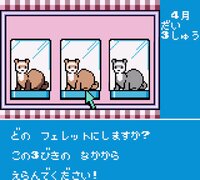 Ferret Monogatari: Watashi no Okiniiri screenshot, image №3804131 - RAWG