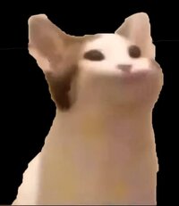 Feed the Pop Cat screenshot, image №2632264 - RAWG