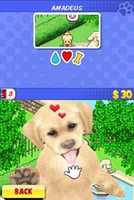 Me And My Dogs: Friends Forever screenshot, image №783456 - RAWG