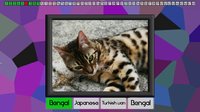 Test your knowledge: Cats screenshot, image №825141 - RAWG