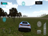 Country Drive Arena screenshot, image №1647567 - RAWG