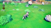 Sheep Dog screenshot, image №4159876 - RAWG