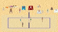 Beach Volleyball Competition 2020 screenshot, image №2513355 - RAWG