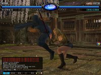 Dead or Alive Online screenshot, image №480109 - RAWG