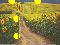 Sunny Flowers screenshot, image №1874258 - RAWG