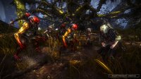 The Witcher 2: Assassins of Kings screenshot, image №534255 - RAWG