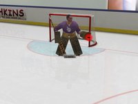 Virtual Goaltender screenshot, image №980202 - RAWG