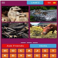 Guess the keyword(Pp) screenshot, image №3309777 - RAWG