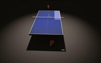 Endurance Ping Pong screenshot, image №2457878 - RAWG