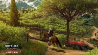The Witcher 3: Wild Hunt – Blood and Wine screenshot, image №624513 - RAWG