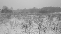 Russian Psychiatric Pastoral: Prologue screenshot, image №4212158 - RAWG