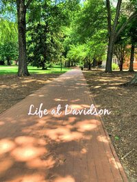 Life at Davidson screenshot, image №2393665 - RAWG