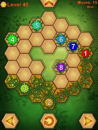 HexConnect - Nature screenshot, image №1752178 - RAWG