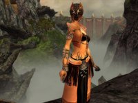 Guild Wars Factions screenshot, image №705769 - RAWG