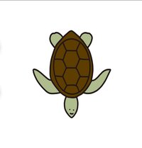 Turtle Tag screenshot, image №3711255 - RAWG